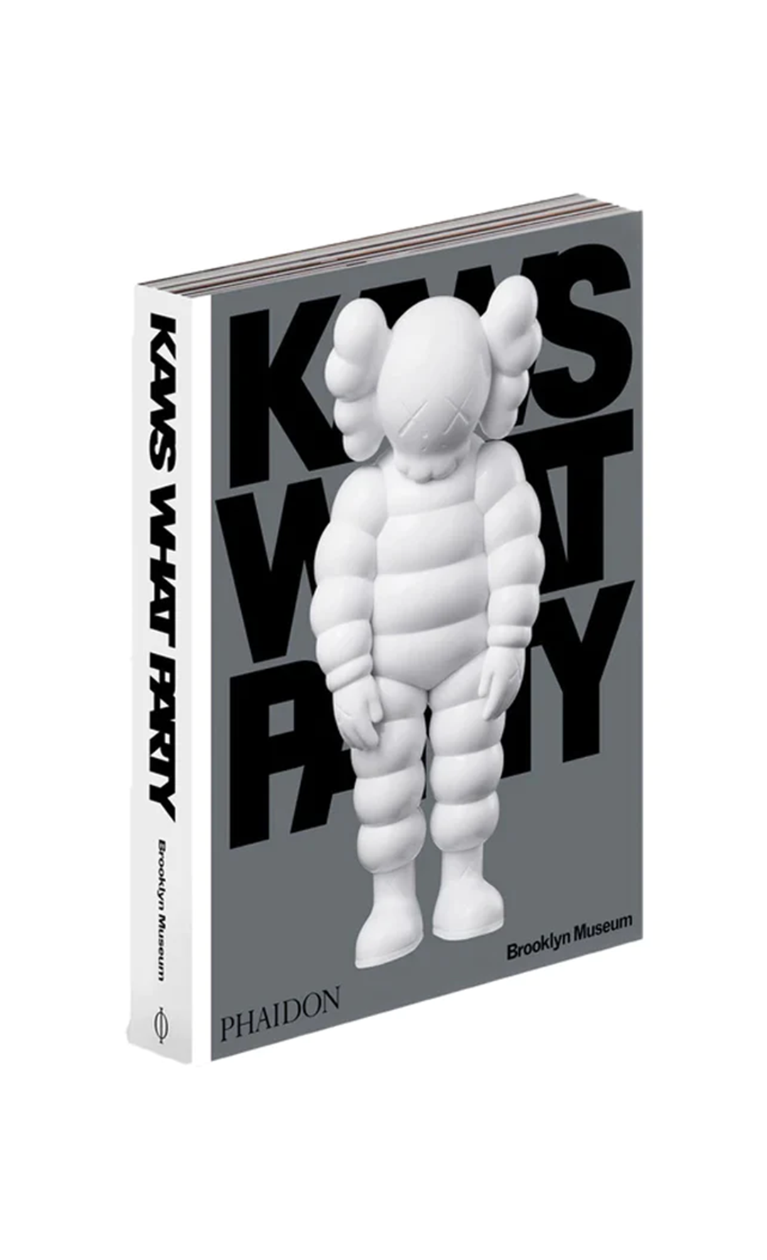 Kaws books New Zealand